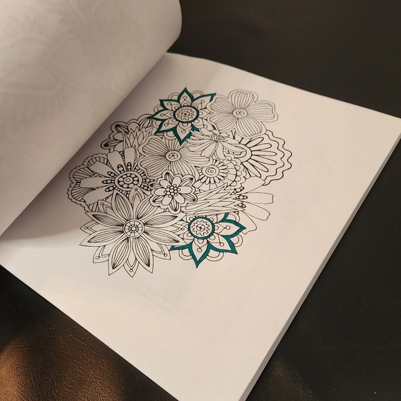 Set Of 3 Coloring Books 2 Adult Coloring Books De-Stress Relief And 1 Easy Inter - Picture 5 of 8